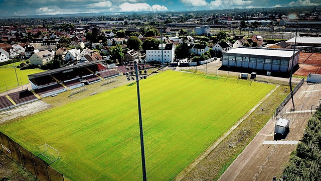 这些案例表 这些案例表