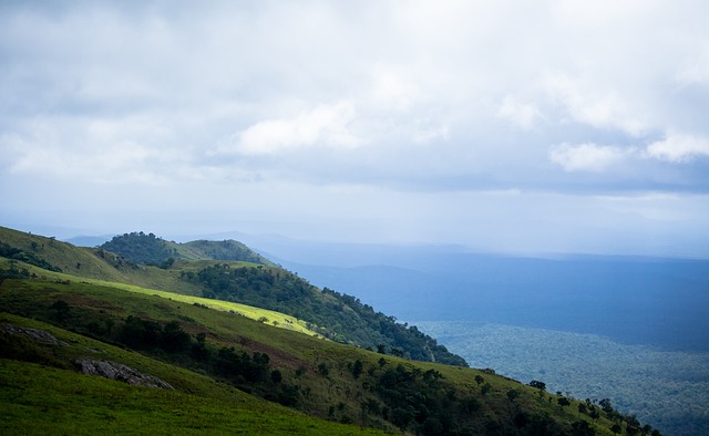 仅是一场普 仅是一场普